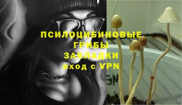 каннабис Дмитров