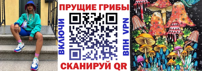 Купить  Монино  Галлюциногенные грибы прущие грибы 